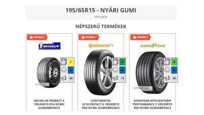 Mely négyévszakos márkák jók 195/65...